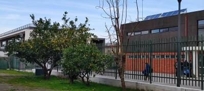 Widok na ogórd i budynki szkoły w Batalha w tle