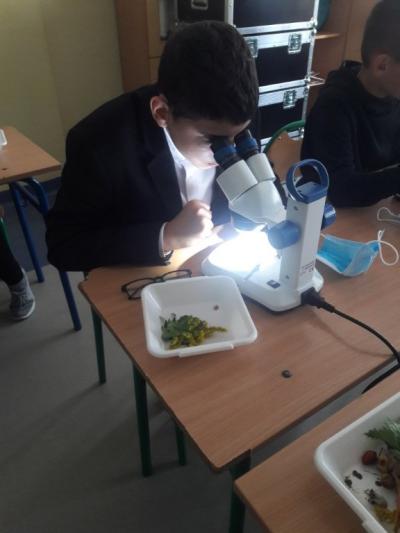 Uczeń Ksawery Szary podczas obserwacji mikroskopowych. Uczeń ogląda pod mikroskopem okazy natury.