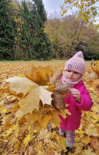 Dziewczynka zbiera liście .jpg
