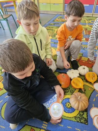 Chłopiec ogląda produkty z  dyni za pomocą latarki.jpg