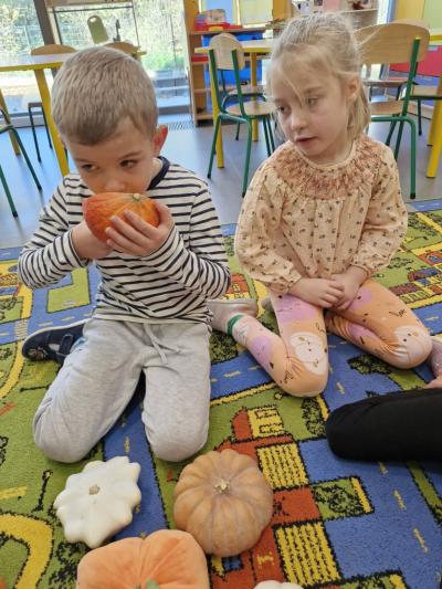 Dzieci siedzą na dywanie i oglądają wnętrze dyni (2).jpg