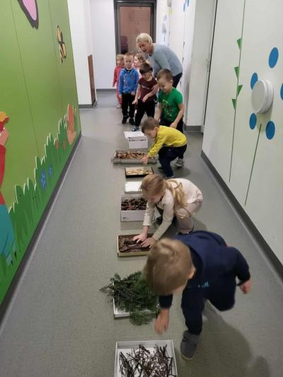 Dzieci ustawione w rzędzie na korytarzu przedszkolnym dotykają kolejno zgromadzony na tackach materiał przyrodniczy..JPG