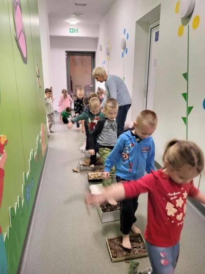 Dzieci ustawione w rzędzie na korytarzu przedszkolnym przechodzą kolejno boso po tackach z materiałem przyrodniczym..JPG