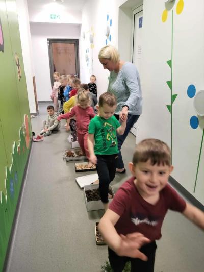 Uśmiechnięte dzieci przechodzą boso po ustawionych  tackach z materiałem przyrodniczym na przedszkolnym korytarzu..JPG
