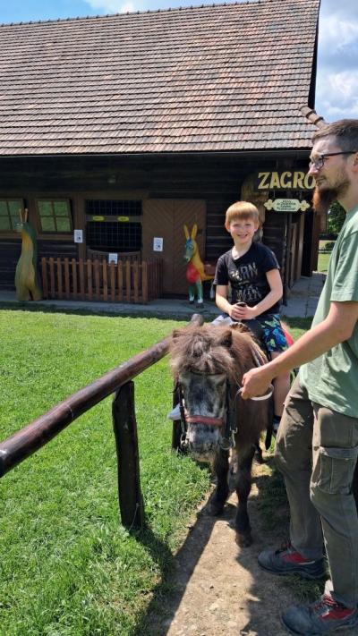 chłopiec na kucyku (3).jpg