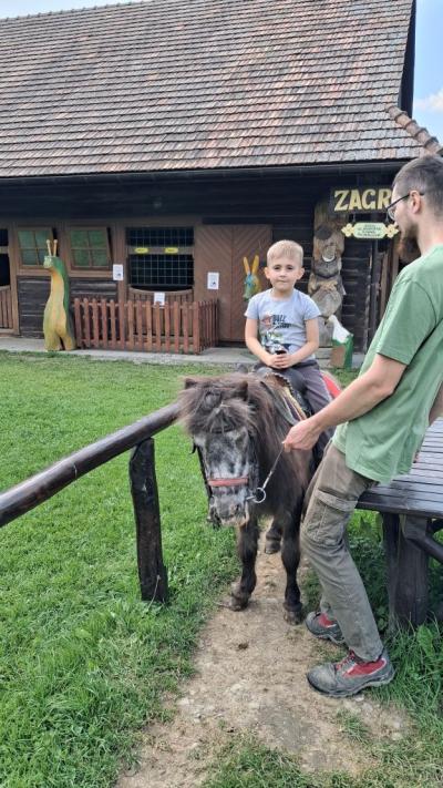 chłopiec na kucyku (8).jpg