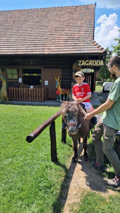 chłopiec na kuzyku.jpg