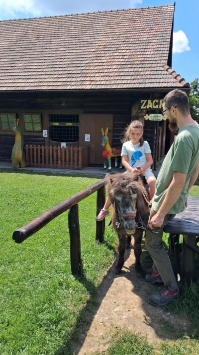 dziewczynka na kucyku (3).jpg