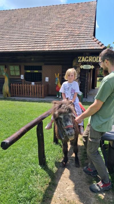 dziewczynka na kucyku (4).jpg