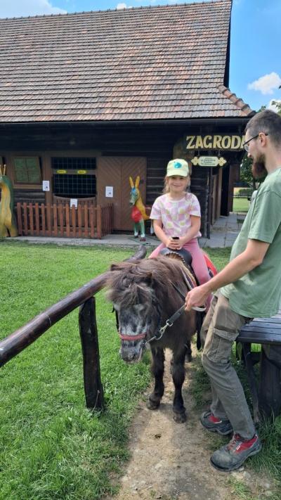 dziewczynka na kucyku (6).jpg