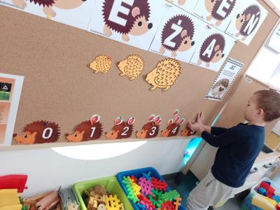 Chłopiec wiesza na tablicy jabłka i przypina ich odpowiednią ilość do cyfry na jeżyku. U góry widać napis Dzień Jeża., na dole zdjęcia widoczne są pudełka z kolorowymi klockami.