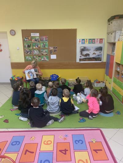 Dzieci siedzą w sali przedszkolnej na dywanie przed nauczycielem i patrzą jak pokazuje im ilustracje w książce różnych gatunków kotów