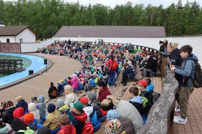 Dzieci uczestniczące w wycieczce uczestniczą w pokazie fok w Sea Park Sarbsku.