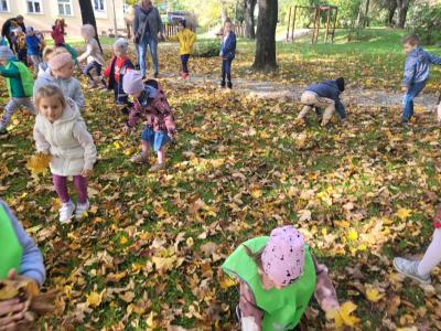Przedszkolaki zbierają żółte liście - ciesząc się barwami jesieni.
