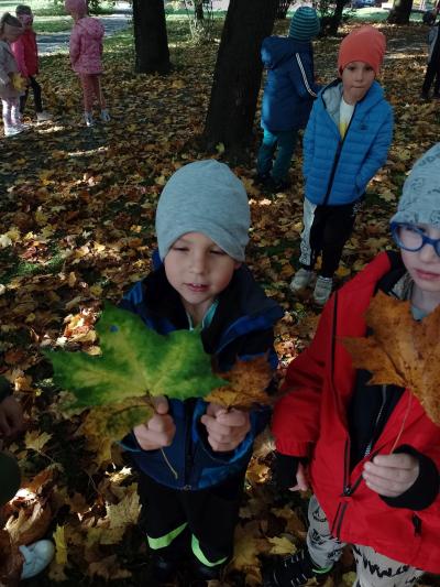 Grupa Leśne duszki w parku w Bieczu. Dwaj chłopcy porównują swoje listki. W tle inne dzieci zbierające liście