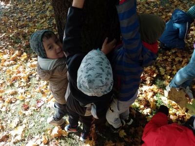 Grupa Leśne duszki w parku. Grupa chłopców przytula się mocno do drzewa. Chłopcy uśmiechają się