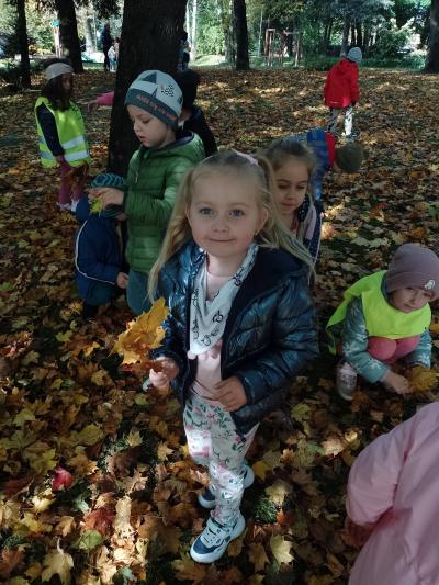 Grupa Lesne duszki. dzieci szukają kolorowych liści, schylają się po nie i układają bukiety