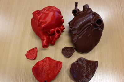 Wydrukowany na drukarce 3D model ludzkiego serca.