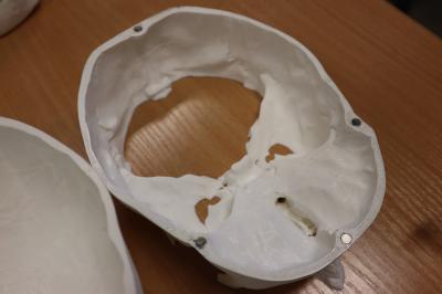 Wydrukowany na drukarce 3D model czaszki ludzkiej.