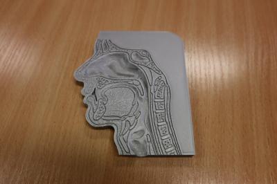 Wydrukowany na drukarce 3D model budowy nosa.
