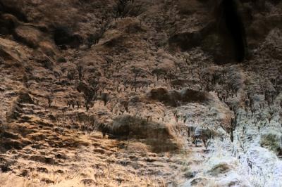 Widok wnętrza Jaskini Nietoperzowej.