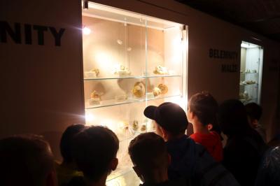 Uczniowie zwiedzają ekspozycję muzeum przyrodniczego