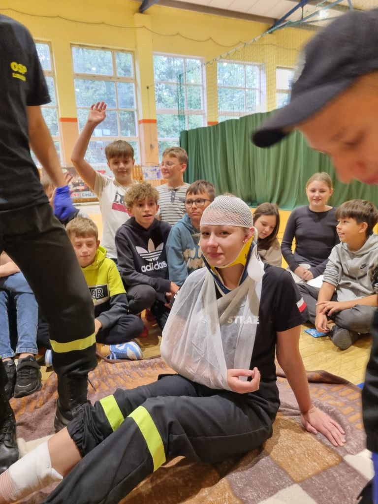 Zajęcia z udzielania pierwszej pomocy przedmedycznej