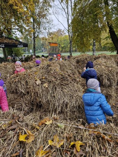 Dzieci biegają w labiryncie ze słomy