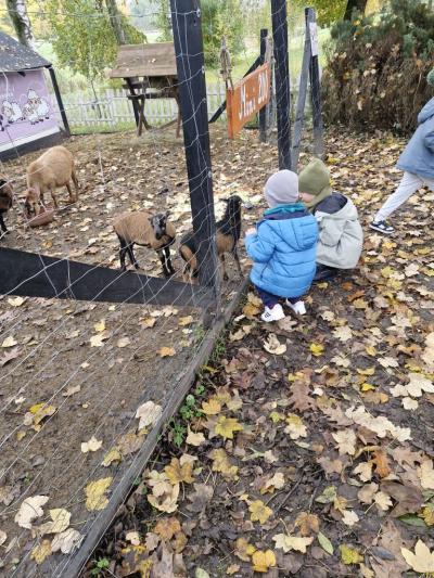 Dzieci kucają przed ogrodzeniem Mini Zoo