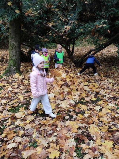 Dzieci zbierają kolorowe liście w jedno miejsce. Dziewczynka idzie trzymając bukiet liści w dłoni. W tle drzewa.