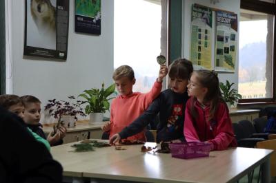 Dzieci siedzą przy stoliku podczas warsztatówrozpoznawania drzew po liściach