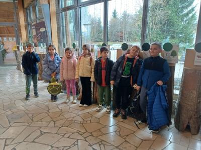 grupa uczniów przy pniach różnych gatunków drzew