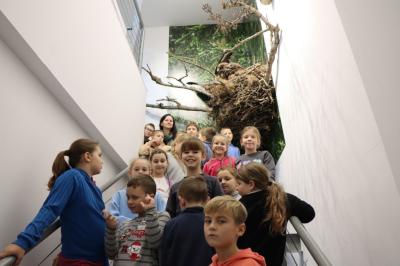 Grupka uczniów pozuje z wychowawcą do zdjęcia w muzeum przyrodniczym, w gniazdo orlika krzykliwego.