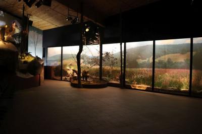 Sala muzeum przyrodniczego w Krempnej.