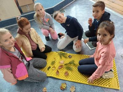 uczniowie odgadują nazwy drzew, szukają podobieństw i różnic miedzy liśćmi