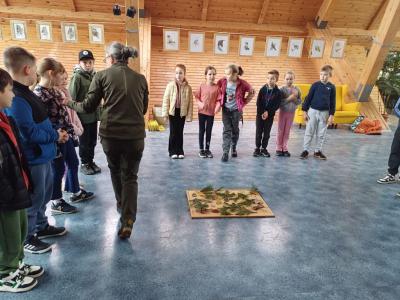 uczniowie odgadują nazwy drzew, szukają podobieństw i różnic miedzy liśćmi