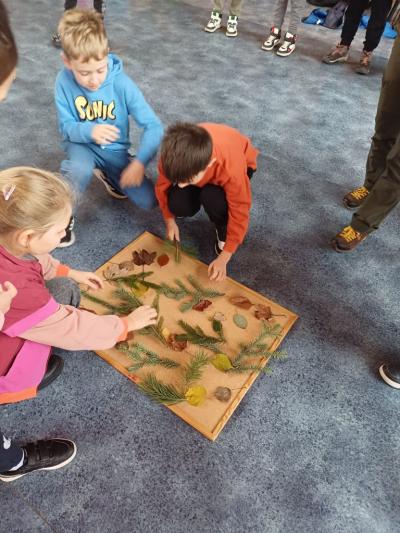 uczniowie odgadują nazwy drzew, szukają podobieństw i różnic miedzy liśćmi