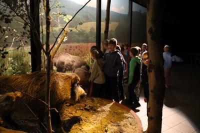 Uczniowie oglądają w muzeum ekspozycję zwierząt leśnych.
