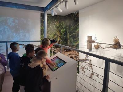 Uczniowie w muzeum przyrodniczym korzystają z interaktywnych eksponatów i przyrządów