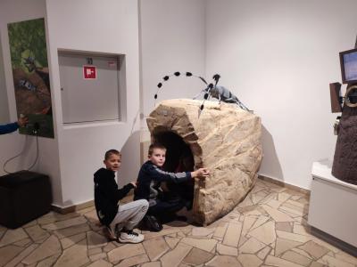 Uczniowie w muzeum przyrodniczym korzystają z interaktywnych eksponatów i przyrządów