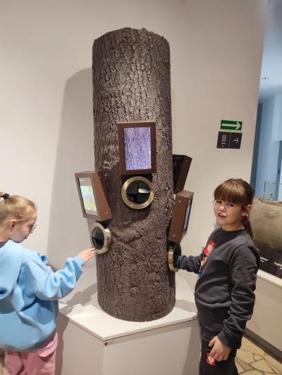 Uczniowie w muzeum przyrodniczym korzystają z interaktywnych eksponatów i przyrządów