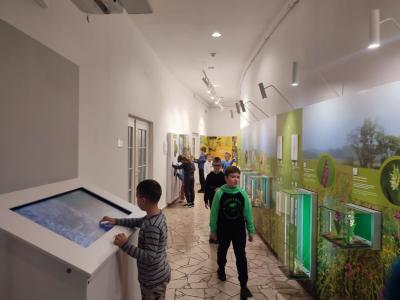 Uczniowie w muzeum przyrodniczym korzystają z interaktywnych eksponatów i przyrządów