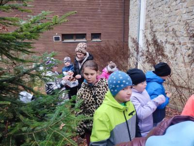 Uczniowie w zimowych ubraniach idą ścieżką edukacyjną z przewodnikiem, w tle budynek muzeum i drzewo świerk