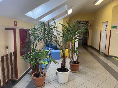 strefa komfortu na szkolnym korytarzu dla uczniów, otoczona roślinami , w środku miekkie pufu i poduszki do siedzenia.