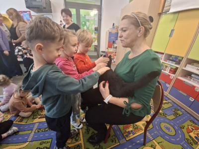 chlopiec głaszcze kotka