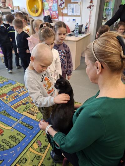 Grupy starsze z kotkiem