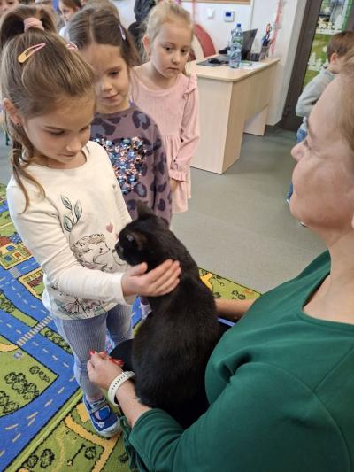 Grupy starsze z kotkiem