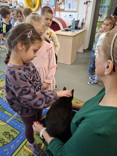 Grupy starsze z kotkiem