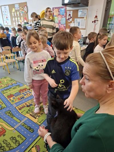 Grupy starsze z kotkiem