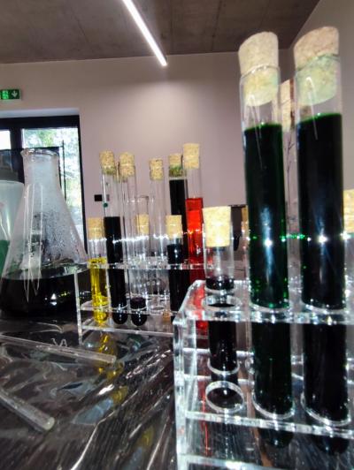 Uczniowie w czasie warsztatów chemicznych - eksperymenty z suchym lodem i zjawisko sublimacji